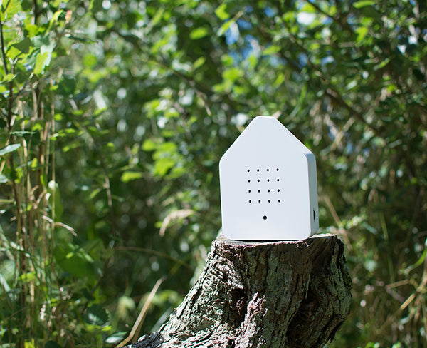 BIRDHOUSE WHITE