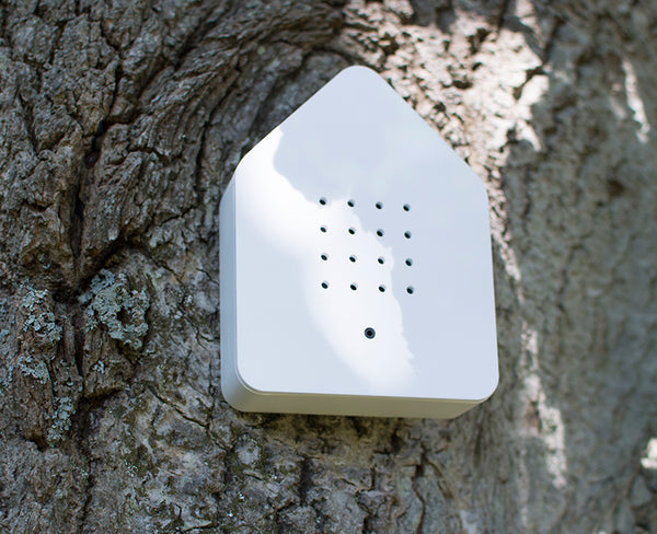 BIRDHOUSE WHITE