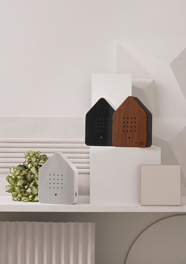BIRDHOUSE WALNUT