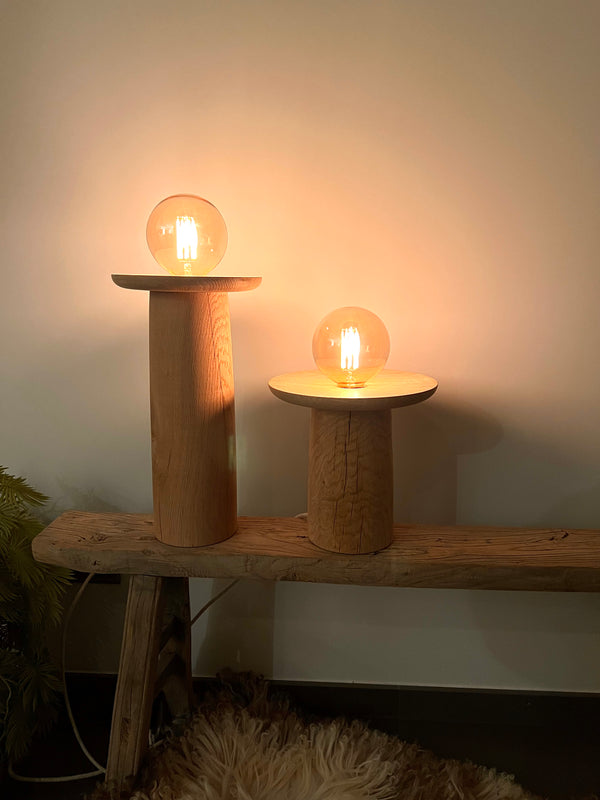 Brasa petite lamp